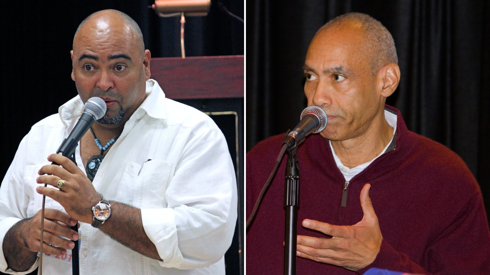 Juan N. Tineo (2011) y José de la Rosa (2013).