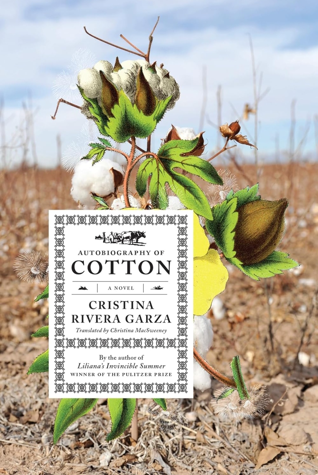 libro autobiografia del algodón en inglés